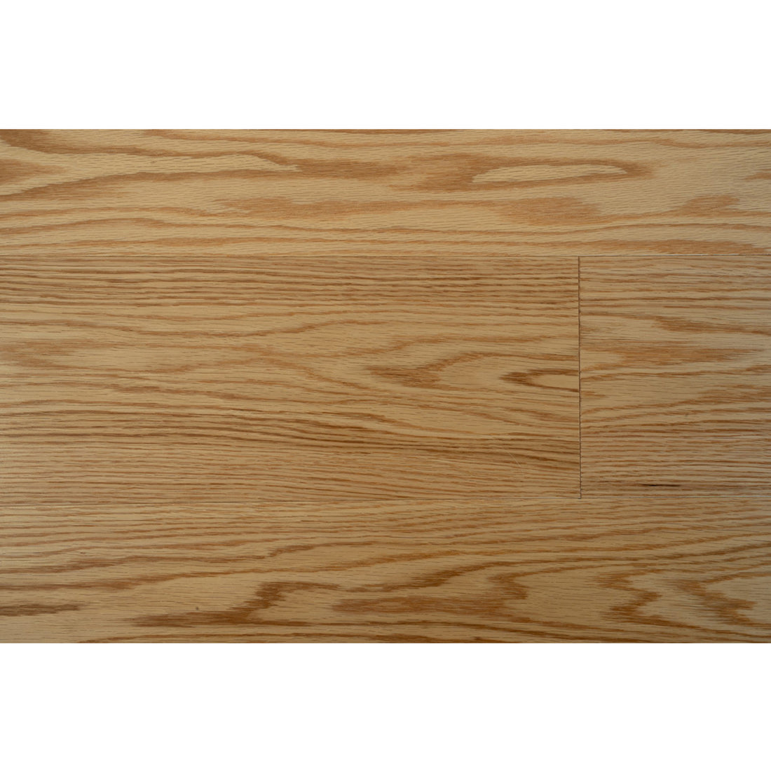 19016 European Oak – ausjk