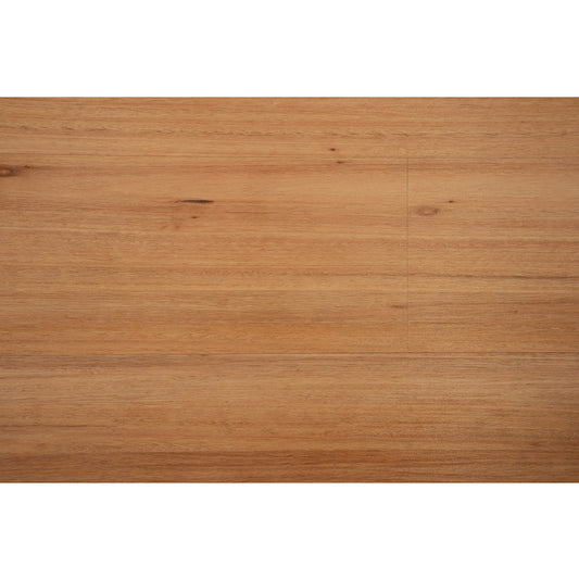 OV704 Blackbutt