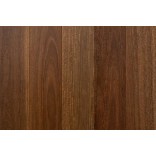 A03 Spotted Gum