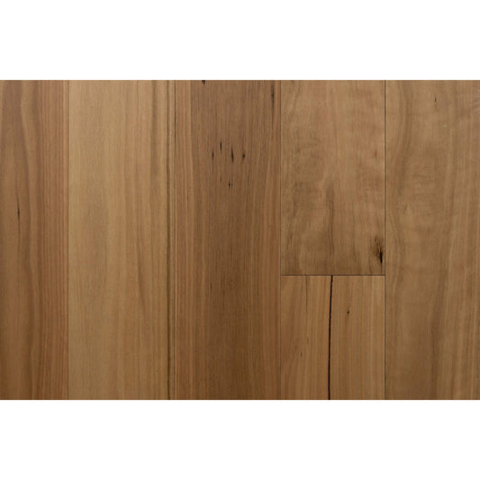 BBT1806 Blackbutt