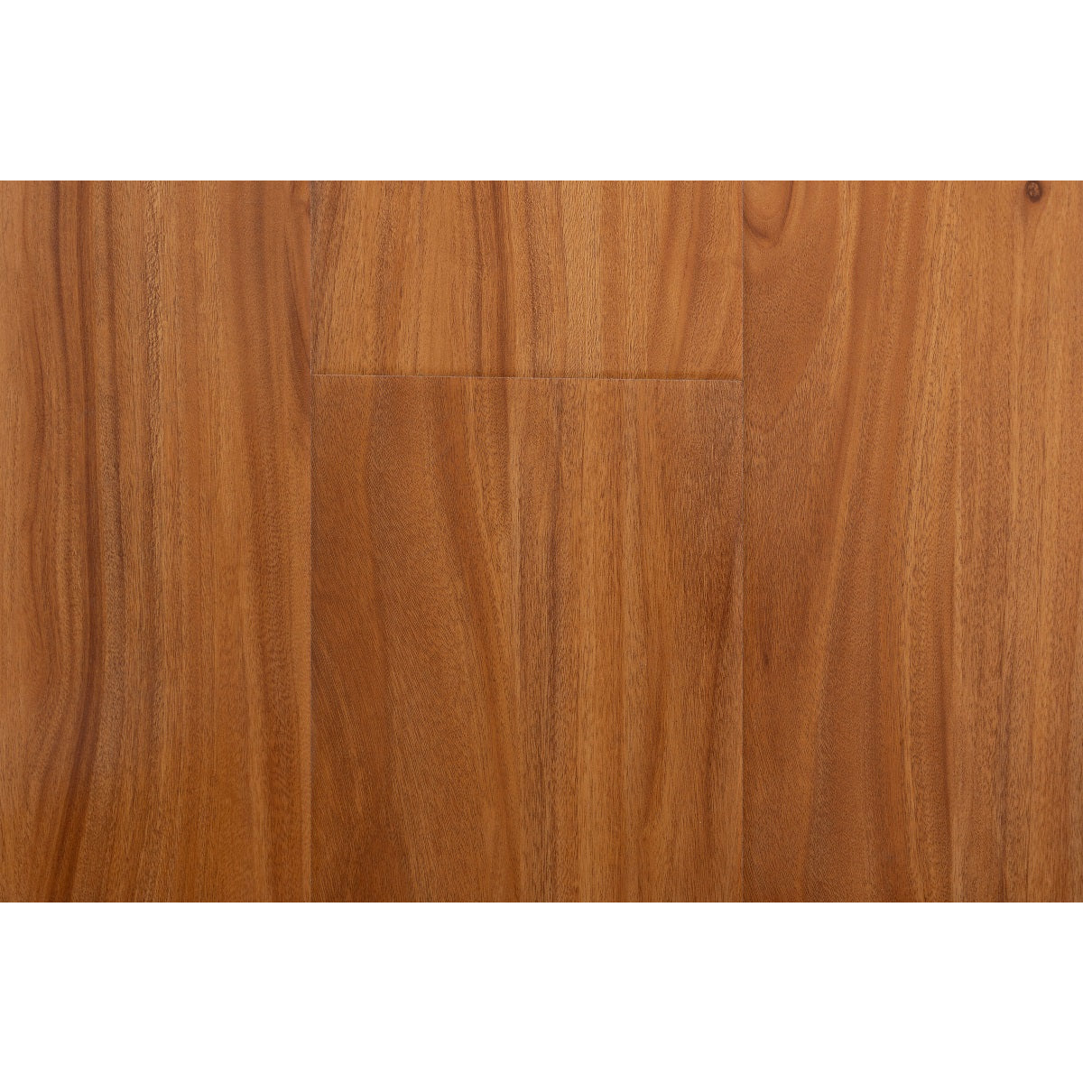 BFL8301 Brush Box