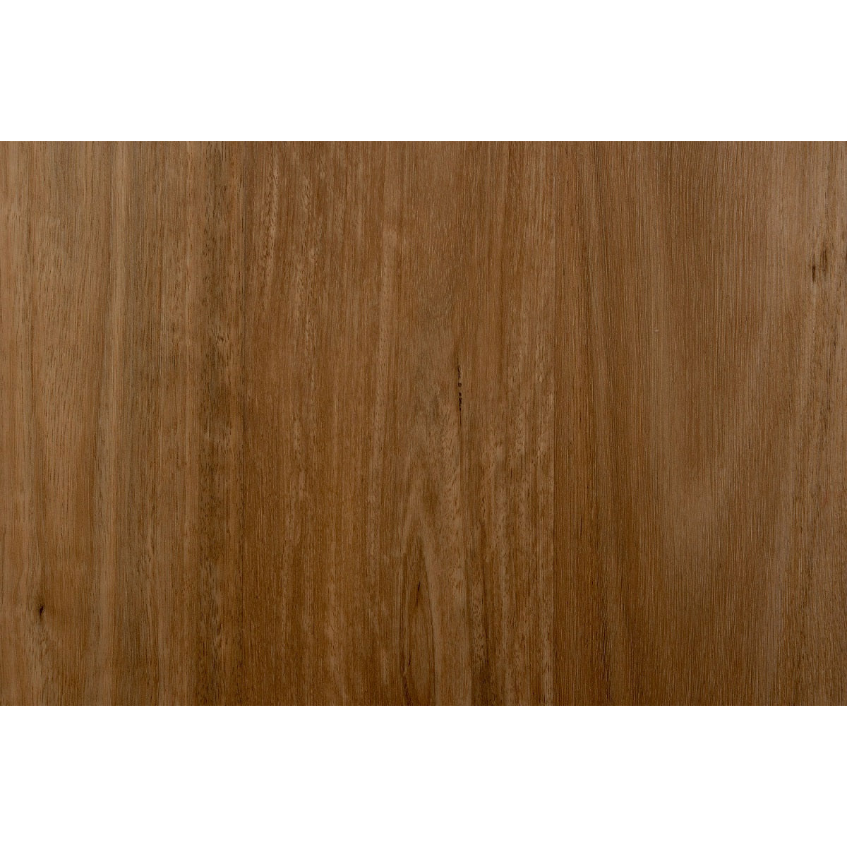 Hybrid OV03 Spotted Gum